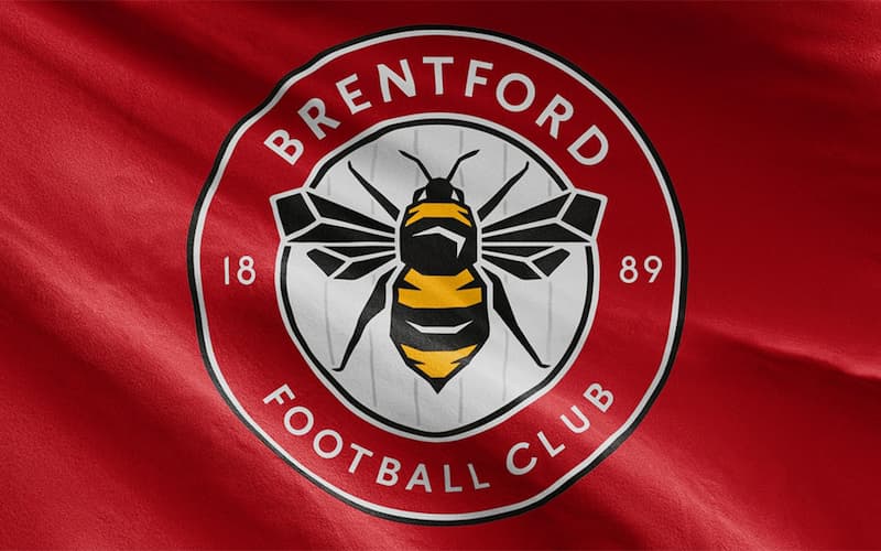 Brentford: Tiểu sử, thành tích đội bóng “The Bees”