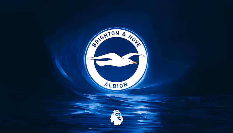Brighton and Hove Albion: Tiểu sử, thành tích đội bóng “The Seagulls”