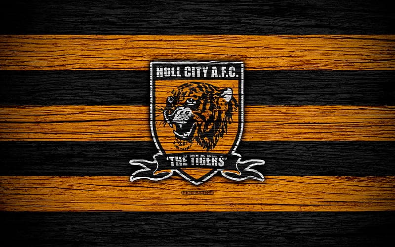 Hull City: Tiểu sử, thành tích đội bóng “The Tigers”