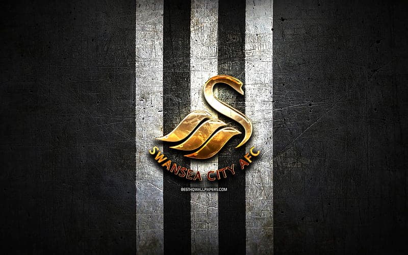 Swansea City: Tiểu sử, thành tích đội bóng “The Swans”