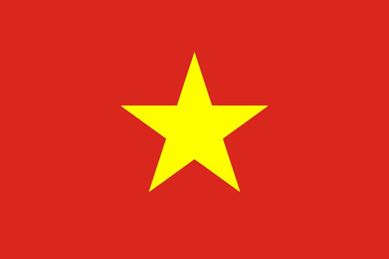 Đội tuyển bóng đá quốc gia Việt Nam: Tiểu sử thành tích “Rồng Vàng”
