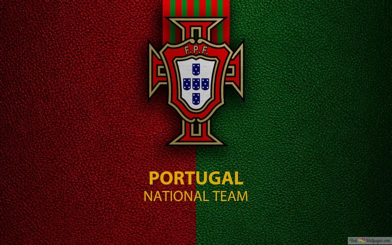 Đội tuyển bóng đá quốc gia Bồ Đào Nha: Tiểu sử thành tích “A Selecao”
